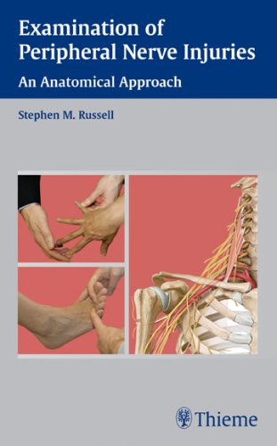 [PDF] Examination of Peripheral Nerve Injuries: An Anatomical Approach (2006) by Stephen M. Russell