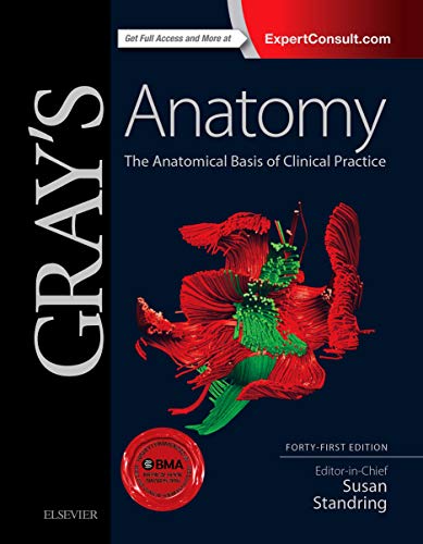 [PDF] Grays Anatomy-The Anatomical Basis of Clinical Practice – 41st Edition (2015) by Susan Standring