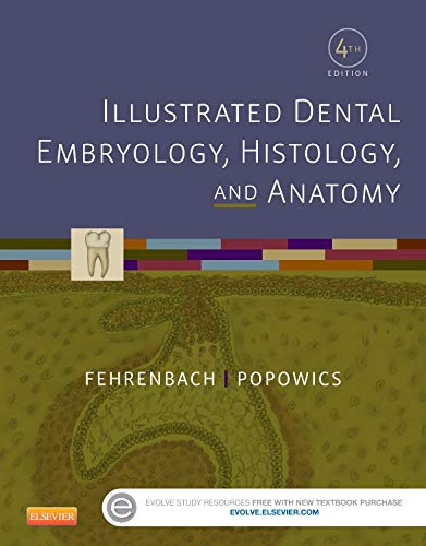 [PDF] Illustrated Dental Embryology, Histology, and Anatomy 4th Edition (2016) by Margaret J. Fehrenbach