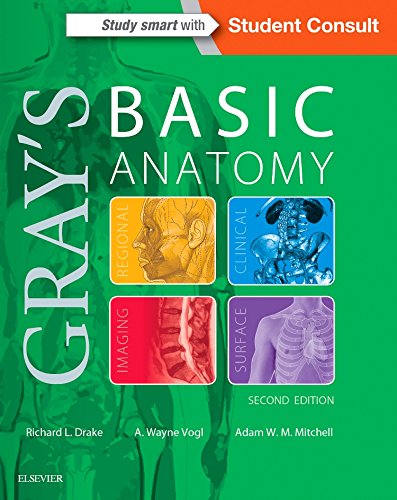 [PDF] Gray’s Basic Anatomy 2nd Edition (2018) by Richard Drake