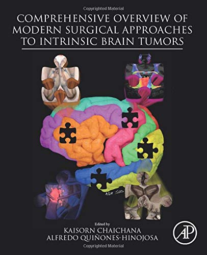 [PDF] Comprehensive Overview of Modern Surgical Approaches to Intrinsic Brain Tumors 1st Edition (2019) by Kaisorn Chaichana MD