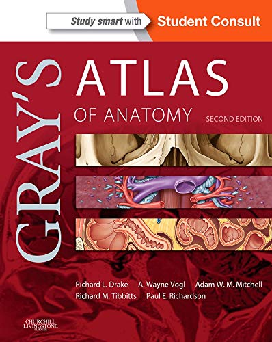 [PDF] Gray’s Atlas of Anatomy, 2nd Edition (2014) by Richard Drake