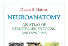 Neuroanatomy: An Atlas of Structures, Sections, and Systems 8th Edition (2011) by Duane E. Haines PDF
