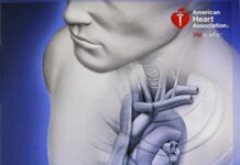 BLS (Basic Life Support) Provider Manual (2016) by American Heart Association PDF