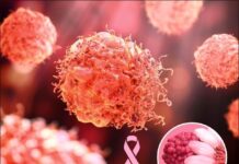 Combinational Therapy in Triple Negative Breast Cancer 1st Edition (2022) by Manzoor Ahmad Mir PDF