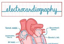 Osmosis Electrocardiography Essentials (2017) by Osmosis PDF