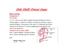 CNS OSCE Clinical Cases – Clinical Examination of the Motor System (2024) Dr Abdulrawwof