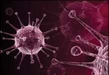 Diagnostics to Pathogenomics of Sexually Transmitted Infections (2019) Sunit K. Singh