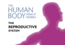 The Reproductive System – Structure, Function, and Clinical Correlates (2018) Randolph W. Krohmer