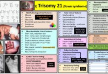 Syndromes Handbook (2024) AHMED HAMMOODI