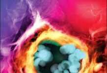 Case Studies in NANOTOXICOLOGY AND PARTICLE TOXICOLOGY (2015) ANTONIETTA M. GATTI