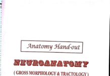 Anatomy SD Neuroanatomy (2020) Sameh Doss