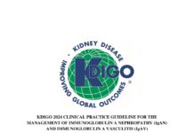 CLINICAL PRACTICE GUIDELINE FOR THE MANAGEMENT OF IMMUNOGLOBULIN A NEPHROPATHY (IgAN) AND IMMUNOGLOBULIN A VASCULITIS (IgAV) – KDIGO 2024 (2024) KDIGO