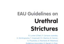 EAU Guidelines on Urethral Strictures (2025) N. Lumen