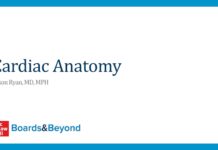 Cardiology Slides – Lecture Series on Cardiac Anatomy and Physiology (2025) Jason Ryan, MD, MPH