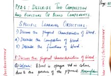 Composition and Functions of Blood Components (2024) Doctor’s Corner