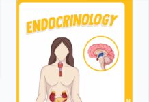 Endocrinology – High-Yield Review for Medical Boards (2025) Medschoolbro