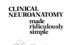 Clinical Neuroanatomy – Made Ridiculously Simple (2015) Stephen Goldberg
