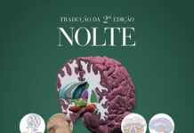 Nolte Fundamentos de Neuroanatomia (2024) Todd W. Vanderah