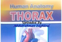 Thorax (2020) Dr. Ayman Khanfour