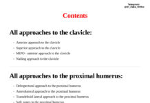 AO Surgery Reference Approaches – Adult Shoulder Girdle Surgical Approaches to the Clavicle, Humerus, and Scapula (2024) AO Foundation