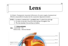 Lens and Cataract – Anatomy, Physiology, and Basic Pathology (2018) Moez Sholfet