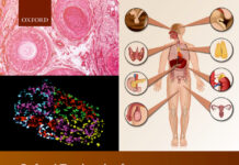 Oxford Textbook of Endocrinology and Diabetes (2022) Various Editors