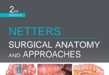 Netter’s Surgical Anatomy and Approaches (2021) Conor P. Delaney