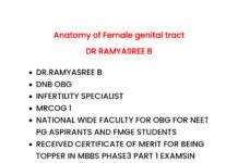 Gynaecology High-Yield Revision Notes – Anatomy, Mullerian Duct Anomalies, and Reproductive Endocrinology for NEET PGFMGE (2024) DR RAMYASREE B