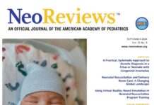 NeoReviews – September 2024 (2024) Dara Brodsky