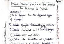 Functions and Properties of Synapse – Physiological Objectives (PY 10.2) (2024) Doctors Corner