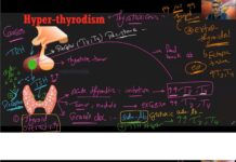 Physiology by Dr. El-Sherif – Endocrine System Thyroid Gland Disorders (2024) Dr. El-Sherif