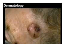 Dermatology Self-Study Guide – 22nd Comprehensive Review Series for Certification and Recertification (2024) Dr. Sarah Chen