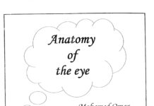 Anatomy (2020) Moh Omar