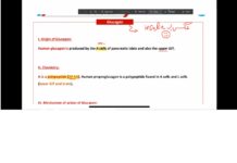 Physiology – Endocrinology Hormones of Metabolism (Glucagon) (2024) Dr. El-Sherif