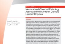 Meniscal and Chondral Pathology Associated With Anterior Cruciate Ligament Injuries – Review Article (2019) Andrew N. Pike, MD