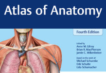 Atlas of Anatomy (2020) Anne M.Gilroy, MA