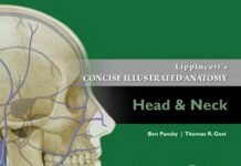 Lippincott’s Concise Illustrated Anatomy – Head & Neck (2014) Ben Pansky