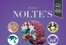 NOLTE’S the HUMAN BRAIN – An Introduction to its Functional Anatomy (2026) Todd W.Vanderah, PhD