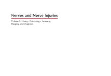 Nerves and Nerve Injuries – Volume 1 Anatomy, Pathophysiology, and Diagnostic Techniques (2018) Dr. Eleanor Vance