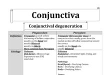 Conjunctiva – A Guide to Degenerations and Conjunctivitis (2020) Moez Sholfet
