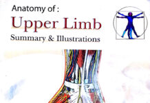 Upper limb () Ahmed Mostafa Kamal