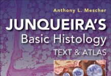 Junqueira’s Basic Histology – Text and Atlas (2024) Anthony L. Mescher