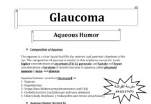 Glaucoma – Aqueous Humor Dynamics and IOP Measurement (2023) Moez Sholfet