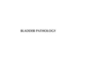 BLADDER PATHOLOGY (2012) LIANG CHENG
