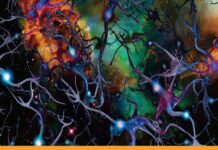 DENDRIMERS FOR DRUG DELIVERY (2019) Anil K. Sharma