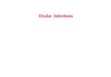Ophthalmological Imaging and Applications (2014) E. Y. K. Ng