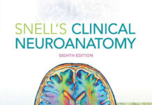 Snell’s Clinical Neuroanatomy (2010) Richard S. Snell