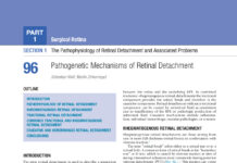Ryan’s Retina – Medical and Surgical Management (2024) Stephen J. Ryan