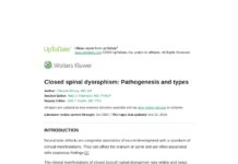Closed spinal dysraphism – Pathogenesis and types (2020) Chaouki Khoury